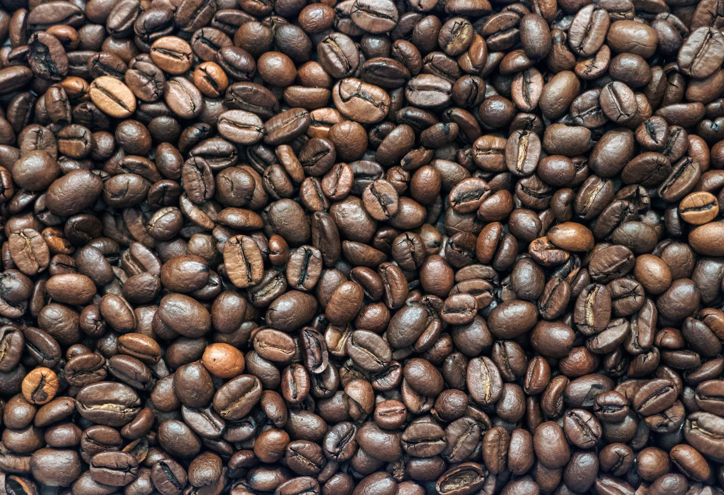 L'essor prometteur des cafetières à grain